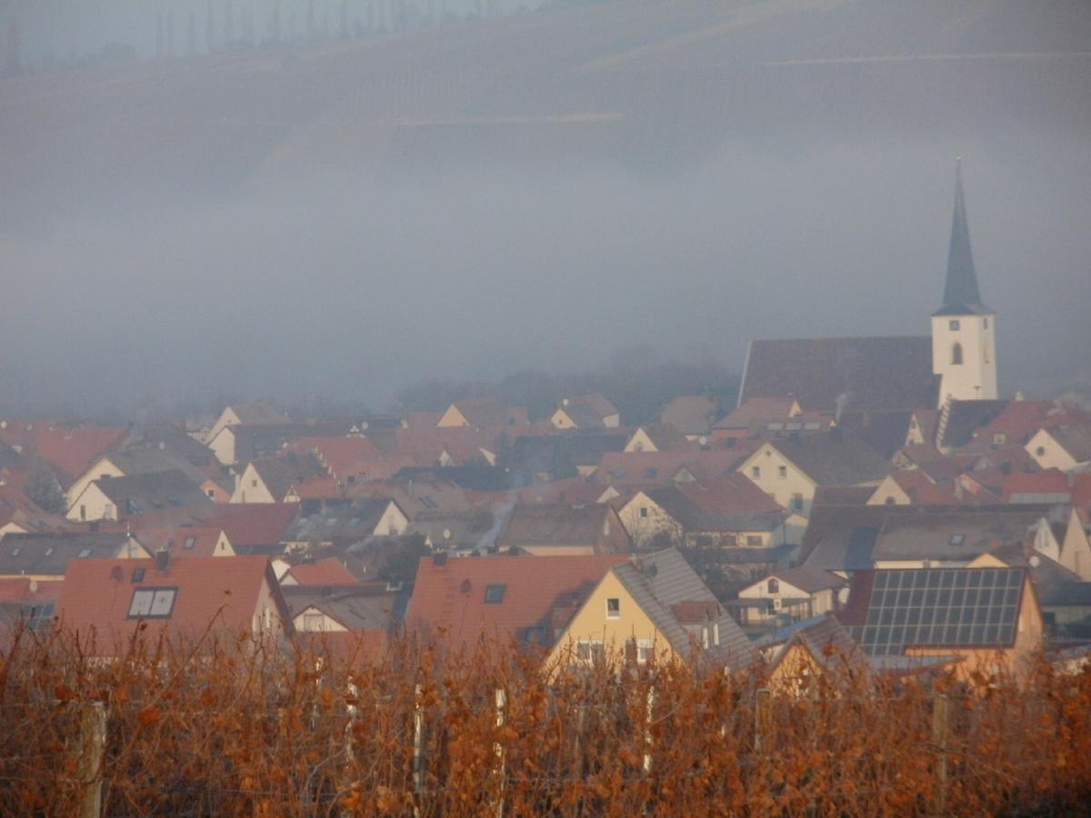Gästehof - Weinbau Säger Nordheim am Main Exterior foto